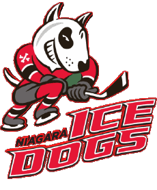Sports Hockey - Clubs Canada - O H L Niagara IceDogs 
