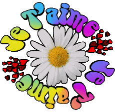 Messages Français Je T'aime 05 