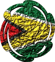 Fahnen Amerika Guyana Form 01 