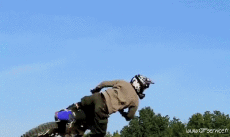 Humour - Fun Transports Motos Cross Fun Win 