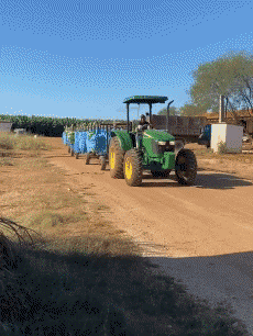 Humor - Fun GENTE En el trabajo Fun - Win 03 