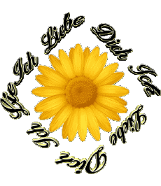 Messagi Tedesco Ich Liebe Dich 02 