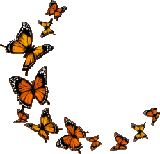 Messages German Alles Gute zum Geburtstag Schmetterlinge Transparent Background 009 