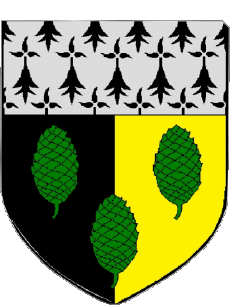 Blason-Drapeaux France Départements - Villes 22 SABLES D OR LES PINS 