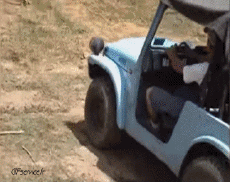 Humour - Fun Transports Voitures Accident Gamelles 