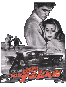 Multi Média Cinéma - France Alain Delon Les Félins 