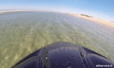 Humor -  Fun Transport Jet Ski Best Vues 