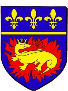 Blasón-Banderas Francia Departamentos - Ciudades 51 VITRY LE FRANCOIS Blasón