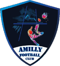 Deportes Fútbol Clubes Francia Centre-Val de Loire 28 - Eure-et-Loire Amilly FC 
