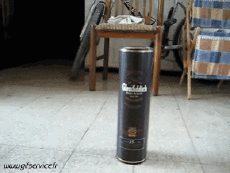 Humor - Fun Animales Hurones 01 