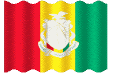 Flags Africa Guinea Waving 