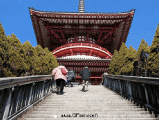 Humor - Fun Efectos 3d Stéreoscopique Wiggle 