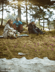 Humor -  Fun 3d Effekte Stéreoscopique Wiggle 