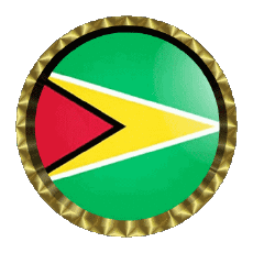 Fahnen Amerika Guyana Rund - Ringe 