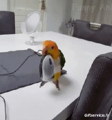 Humor - Fun Animales Pájaros Loro Peruche 