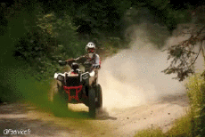 Humor - Fun Transporte Quad Fun - Win 
