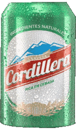 Getränke Bier Bolivien Cordillera 