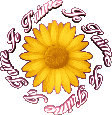 Nachrichten Französisch Je T'aime 03 