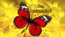 Mensajes Francés Bon Anniversaire Papillons Fondo animado 001 