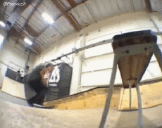 Umorismo -  Fun Sportivo Skateboard Free Style Fun - Win 01 