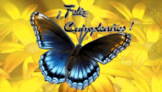Mensajes Español Feliz Cumpleaños Mariposas Fondo animado 001 