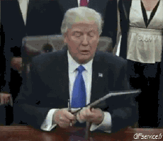 Humor -  Fun MENSCHEN Politik - International Donald Trump 