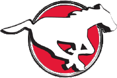 Sport Amerikanischer Fußball Kanada - L C F Calgary Stampeders 
