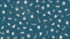 Nachrichten Französisch Bonnes Fêtes (Noël) Video 