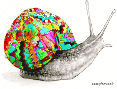 Humor -  Fun Animals Snails 01 