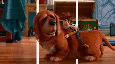 Humor -  Fun 3d Effects 3D - Lines - Bands 