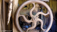 Humor -  Fun 3d Effekte Stéreoscopique Wiggle 