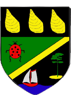 Blason-Drapeaux France Départements - Villes 33 GUJAN MESTRAS Blason