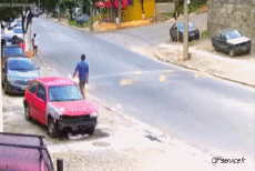 Humour - Fun Transports Voitures Accident Gamelles 