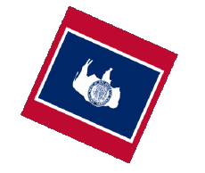 Bandiere America U.S.A - Stati Wyoming Sfera - Cubo 