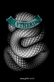 Humor -  Fun Animals Snakes 01 