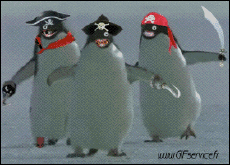 Humor -  Fun Tiere Pinguine 01 