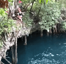 Humour - Fun Sports Tyrolienne Gamelle Fail 