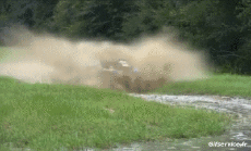 Humor - Fun Transporte Quad Fail 02 