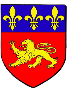 Bandiere Francia Dipartimenti - Città 72 LA FERTE BERNARD 