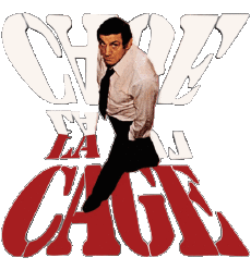 Multi Media Movie France Lino Ventura La Cage 
