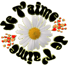 Messages Français Je T'aime 05 