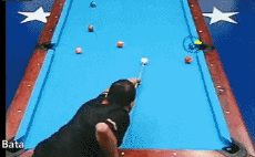 Bata-Humor -  Fun Sports Pool Table Best Off Shot 