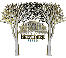 Boissons Vodka Belvedere 