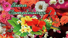 Messages Italien Buon Compleanno Floreale Fond Animé 004 