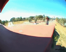 Humor -  Fun Sport BMX Fun Win 