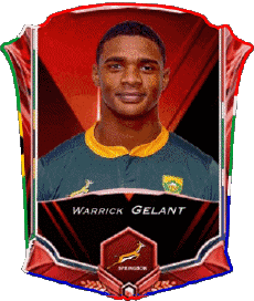 Deportes Rugby - Jugadores Africa del Sur Equipo 2022 Warrick Gelant 
