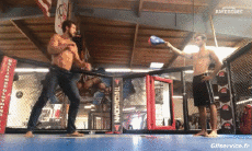 Humor - Fun Deportes Artes marciales Fun Win 