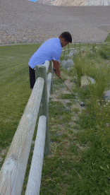 Humor -  Fun Sport Golf Fail 