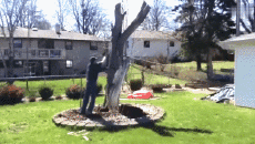 Humour - Fun PERSONNAGES Bucheron - Timber ! Fail 