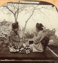 Humor -  Fun 3d Effekte Stéreoscopique Wiggle 